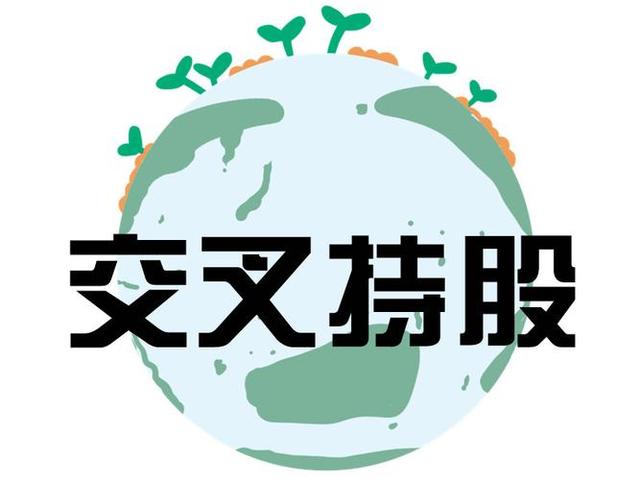 交叉持股安排设计(交叉持股怎么计算持股比例)白山市