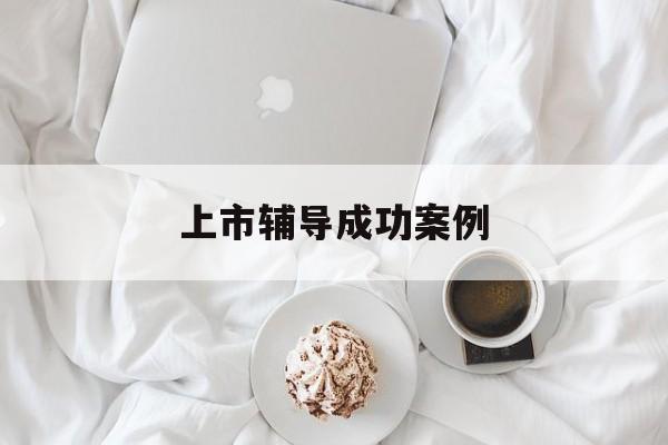 上市辅导成功案例(上市辅导成功后肯定会上市吗)白山市